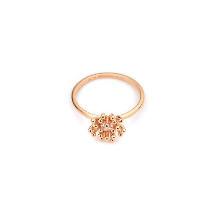 Le Petit Cactus Vanille Ring