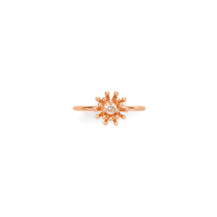 Le Petit Cactus Vanille Ring