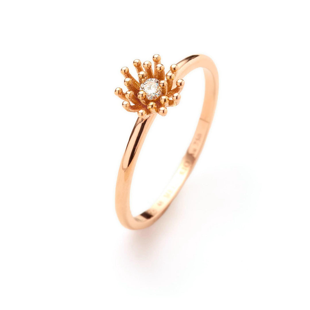 Le Petit Cactus Vanille Ring