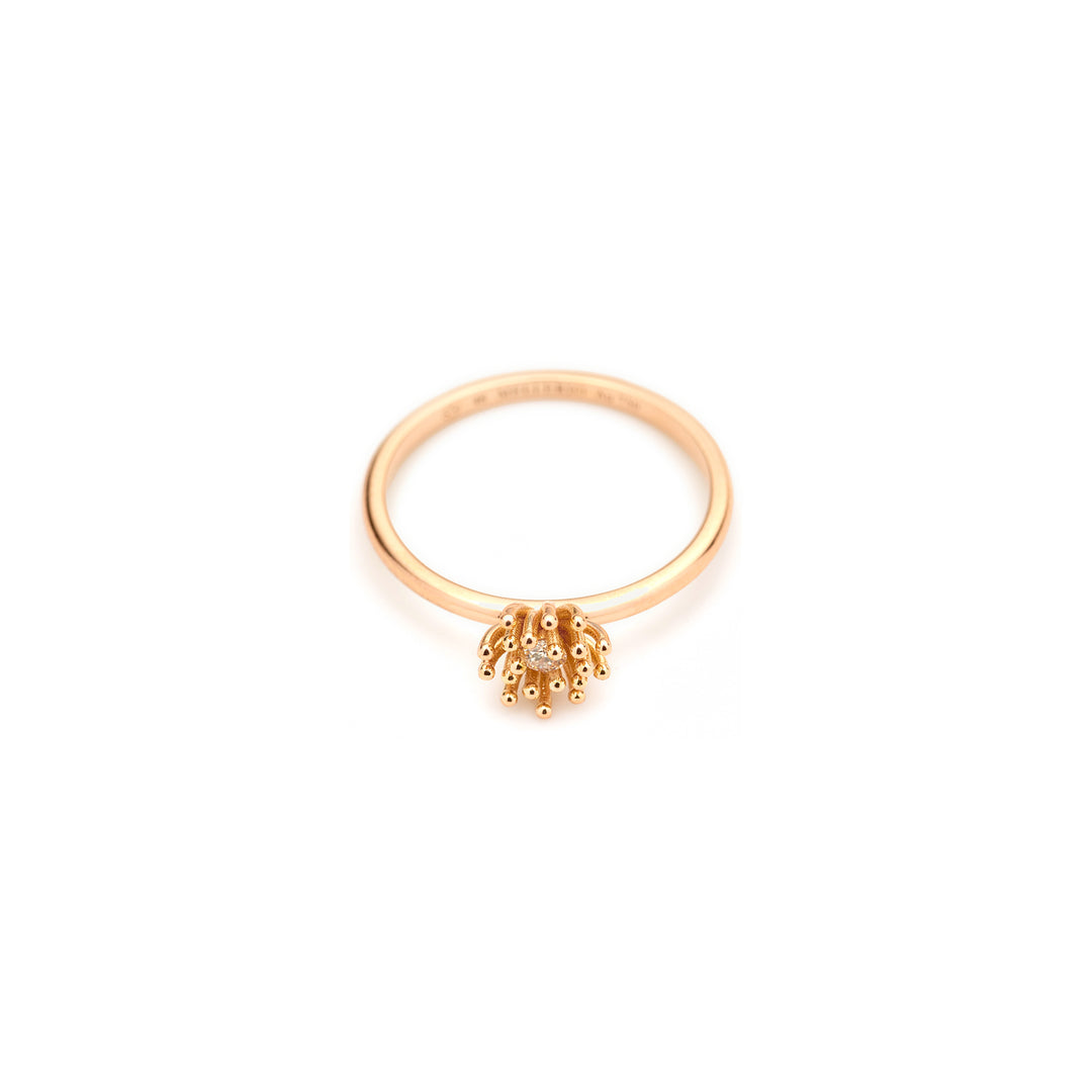 Le Petit Cactus Vanille Ring