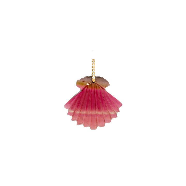 Sea Treasures Shell Pendant