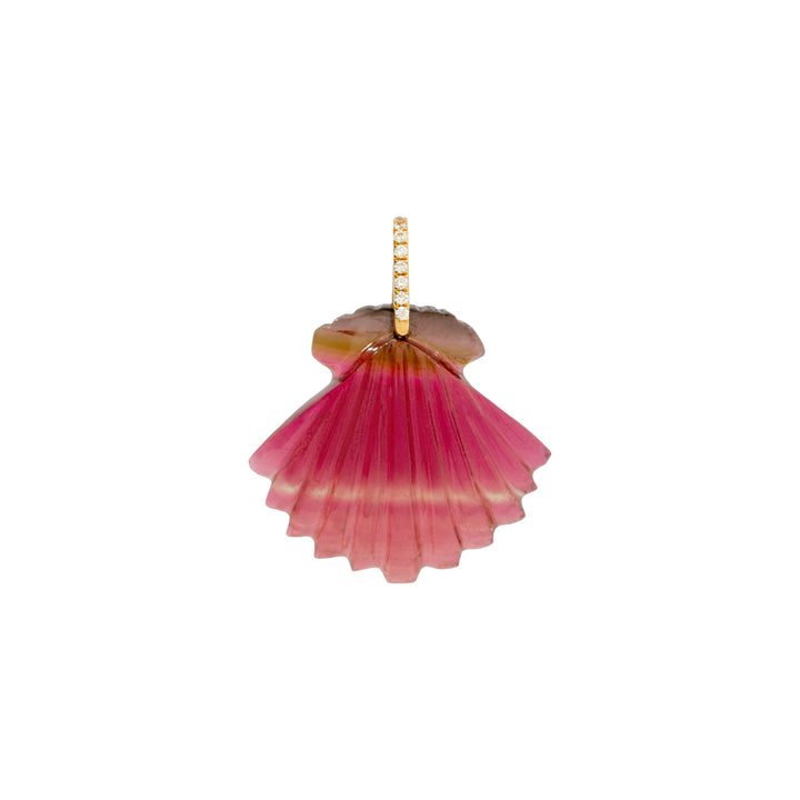 Sea Treasures Shell Pendant